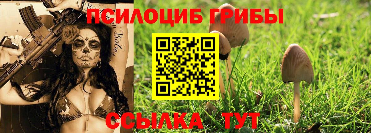 Псилоцибиновые грибы Magic Shrooms  Вход с VPN  Псилоцибиновые грибы Cubensis  наркотики  Верхняя Салда 