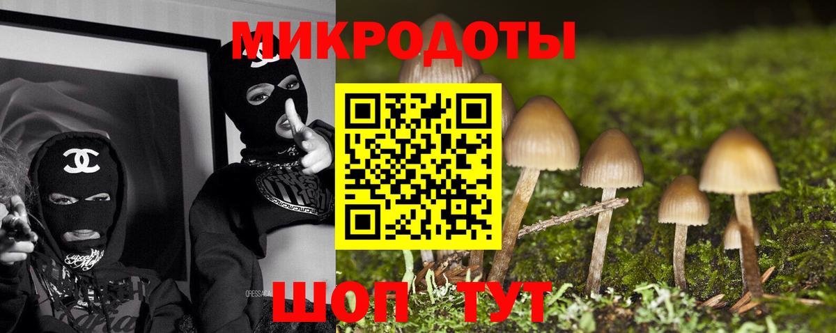 Галлюциногенные грибы Cubensis Верхняя Салда
